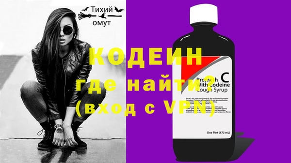 МДПВ Гусев