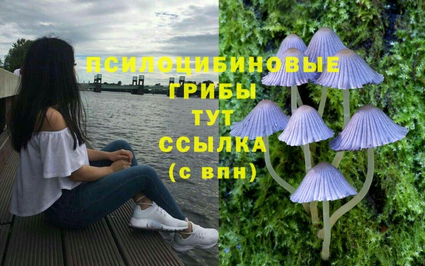 героин Гусь-Хрустальный