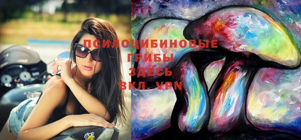 мяу мяу мука Вяземский