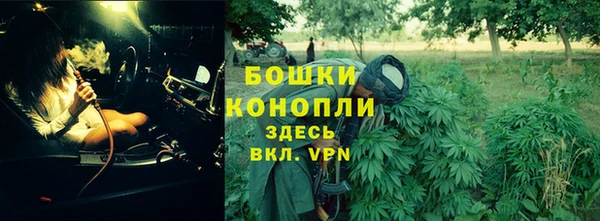 ECSTASY Вязьма