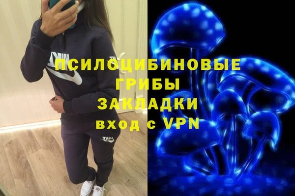 гашик Гусиноозёрск