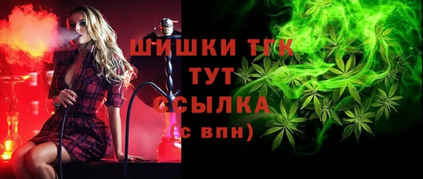 МДПВ Гусев
