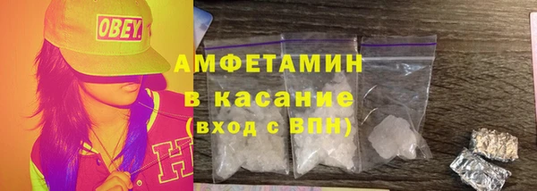 прущие грибы Верея