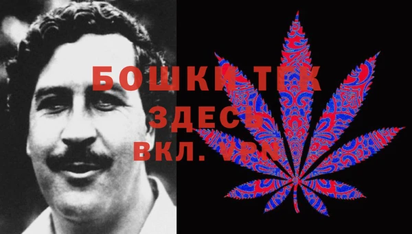 ECSTASY Вязьма